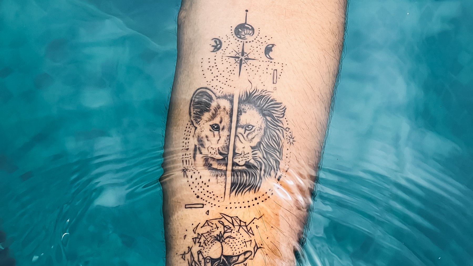 Tatuagem de leão no braço